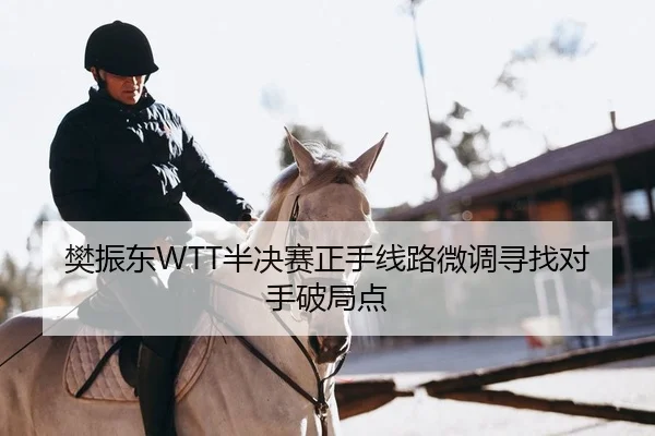 樊振东WTT半决赛正手线路微调寻找对手破局点